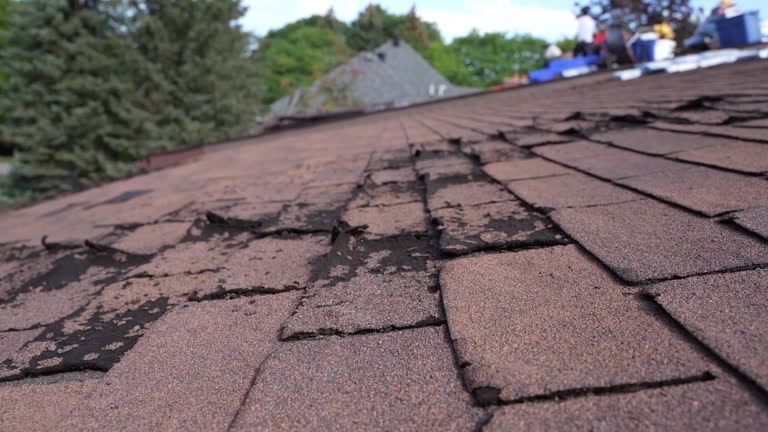 Best Roof Maintenance and Cleaning  in New Berlinville, PA